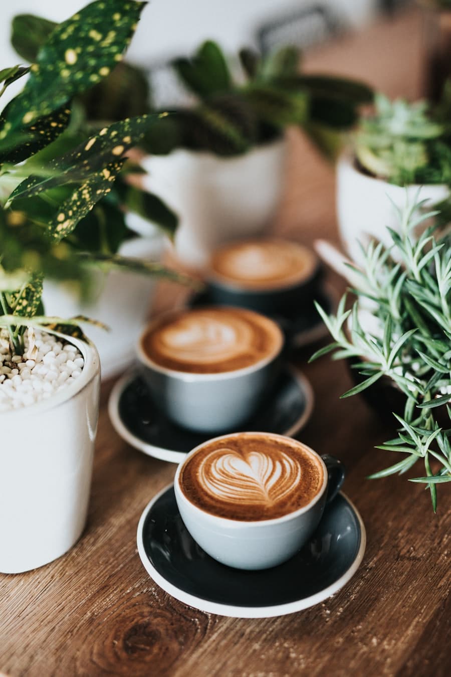 V60 تک‌خاستگاه اتیوپی